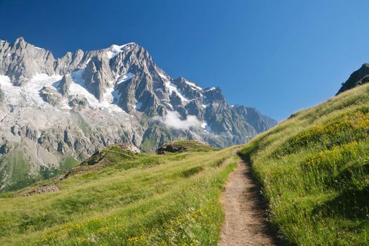 small path in Italian Alps on summer. On the background Les Grandes Jorasses mountain (mont Blanc massif)