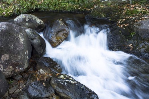 Cascade falls over mossy rocks