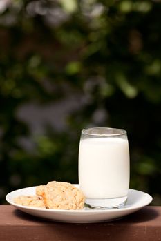 A plate of milk and cookies in an outdoor setting