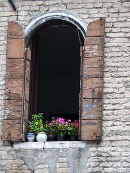 Piazza Campo dei Frari. Typical vetetian window - Venice Italy