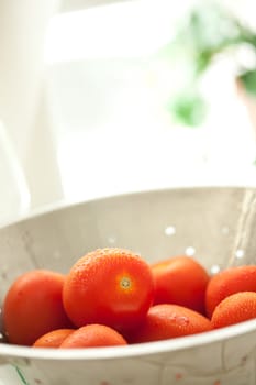 Macro of Fresh, Vibrant Roma Tomatoes in Colander with Water Drops Abstract.