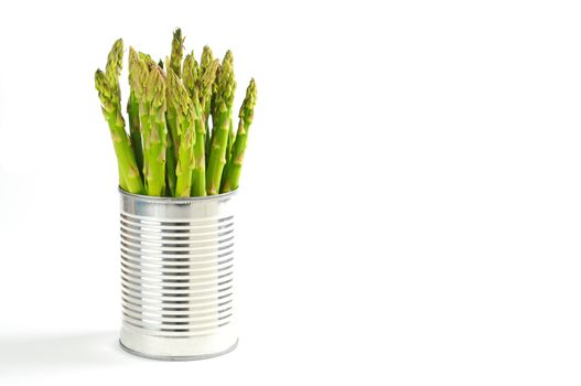 Fresh picked asparagus presented in a tin can.