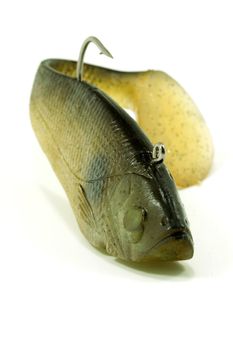 A shad color swim bait on white