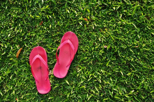 A pair of slippers are left on field of a relaxed day.