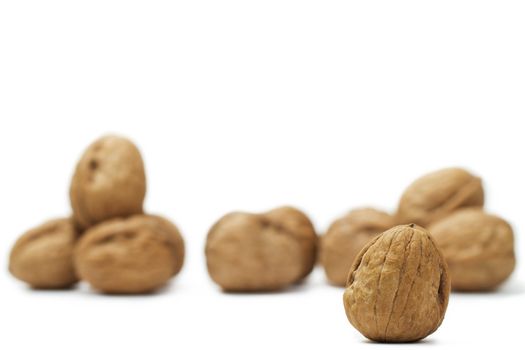 focus on a walnut in front of others on white background