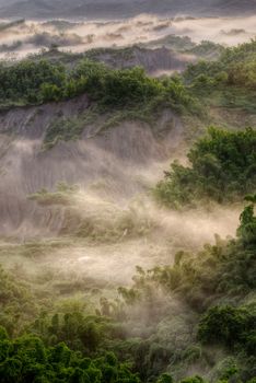 Green forest with mist, beautiful landscape of nature in Taiwan, Asia.