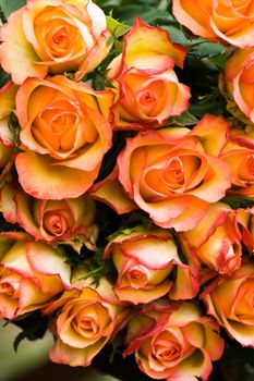 A fresh bouquet of orange and yellow roses to give to...