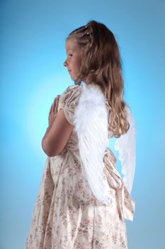 Cute little angel praying, focus on wings, studio shot on blue background 