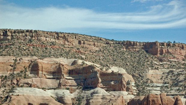 Arizona Mountainside