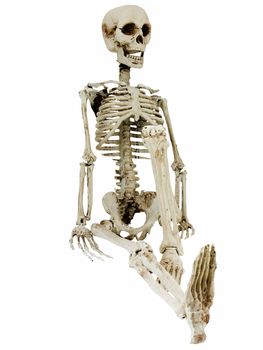 Relaxing skeleton isolated on a white background