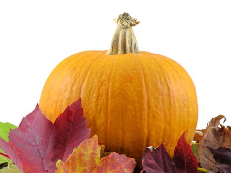 Pumpkin and autumn leaves isolated on a white background