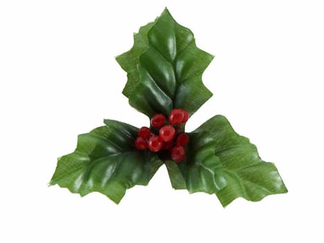 Christmas holly isolated on a white background