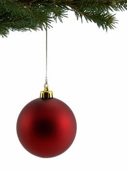 Red christmas ornament hanging from a christmas tree, isolated on white