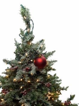 Top of a christmas tree isolated on white