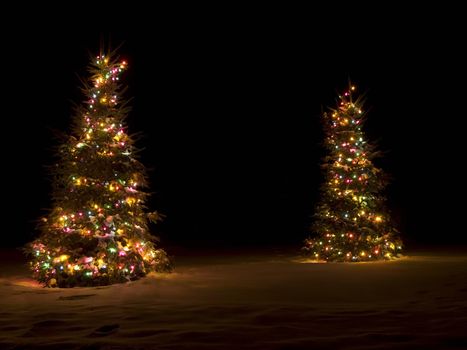 Lit up christmas tree outside in the snow