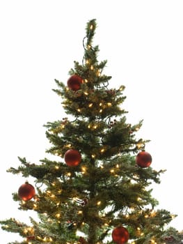 Christmas tree isolated on a white background