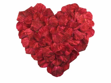 Heart shape made of red rose petals isolated on white