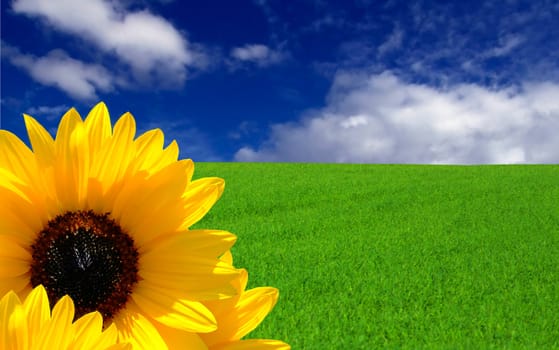 Conceptual image showing amazing blue skies over green meadows