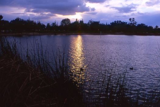 Fremont Central Park is a 450 acre park that lies in the central area of Fremont, California. The park is on Paseo Padre Parkway at Stevenson Boulevard and is easily accessible from both I-880 & I-680. It began development in 1960. In the park lies Lake Elizabeth, an 83 acre man made lake that serves as a scenic picture for the residents who come to picnic, play sports, walk or tour the vicinity. The lake was dedicated to Fremont's Sister City, Elizabeth, South Australia in 1969. For other recreation, the northeastern side of the park consists of the large Fremont Park Golf Course.