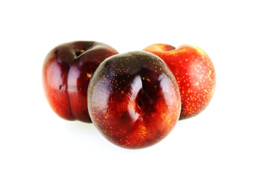 three fresh ripe sweet plums over white background