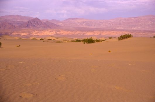 Death Valley is the lowest, driest and hottest valley in the United states. It is the location of the lowest elevation in Western hemisphere