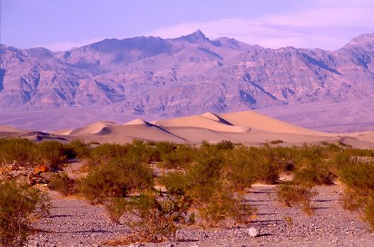 Death Valley is the lowest, driest and hottest valley in the United states. It is the location of the lowest elevation in Western hemisphere