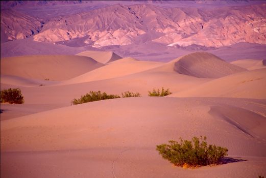 Death Valley is the lowest, driest and hottest valley in the United states. It is the location of the lowest elevation in Western hemisphere