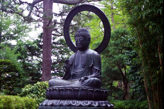 The Japanese Tea Garden in San Francisco, California, was an immensely popular feature of Golden Gate Park originally built as part of a sprawling World's Fair, the California Midwinter International Exposition of 1894. For more than 20 years San Francisco Parks Trusts' Park Guides have given free tours [1] providing context and history for this historic Japanese-style garden