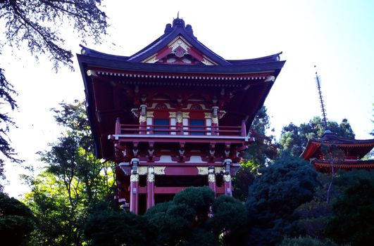 The Japanese Tea Garden in San Francisco, California, was an immensely popular feature of Golden Gate Park originally built as part of a sprawling World's Fair, the California Midwinter International Exposition of 1894. For more than 20 years San Francisco Parks Trusts' Park Guides have given free tours [1] providing context and history for this historic Japanese-style garden