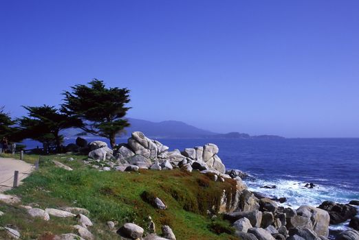 Scenic drive in Monterey Peninsula
