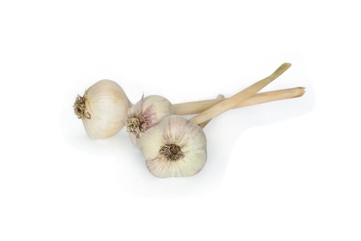 Three heads of garlic isolated on white background