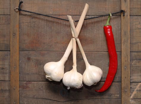 Garlic and chili pepper hanging with rope on wooden background