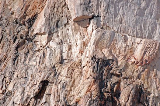 Petrified Forest - Crystal Lakes