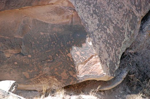 Petrified Forest - Newspaper Rock Petroglyphs