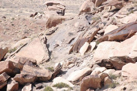 Petrified Forest - Newspaper Rock Petroglyphs