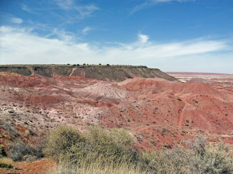 Petrified Forest in Arizona