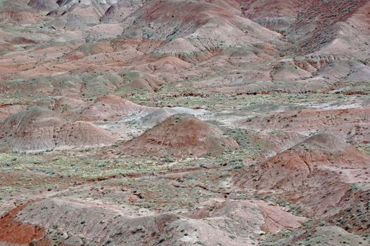 Petrified Forest Landscape - Arizona