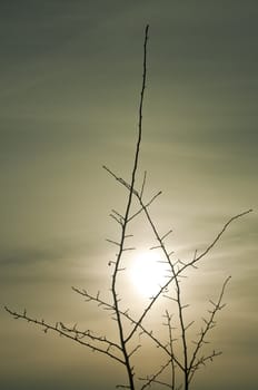 sunrise on a winter day