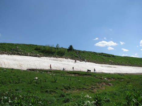 Europe; Russia; flora; the Alpine meadows; vegetation; a distance; summer; greens; flowering; plants; flowers, people