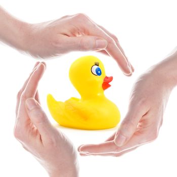 rubber duck and hands isolated in white background