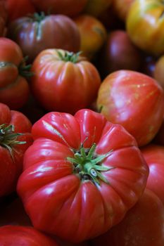 Pile of various heritage tomatoes at the farmers market