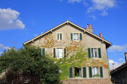 house and trees and sky blue and white