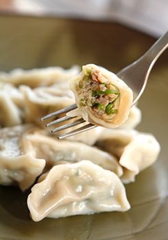 Chinese food, dumpling with meat and vegetable.