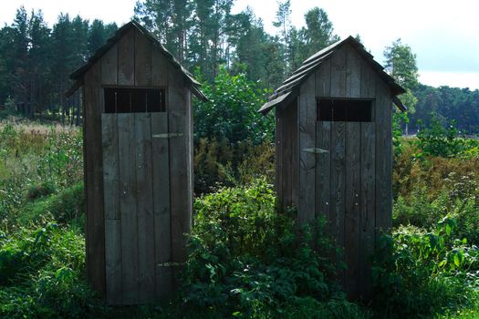 Two wheathered wooden toilets standing in green swamp