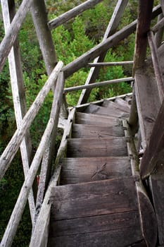 Wheathered wood stairs leading down till the ground