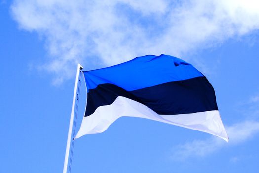 Flag of Estonia waves by wind in sky