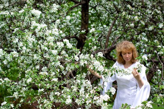 A blonde girl in white dress among white flowers
