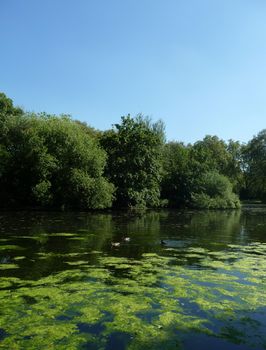 A typical countryside scene showing a lake and trees.