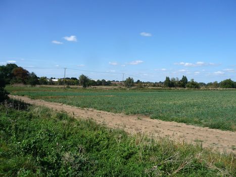 A view of some farm land in Cambridge.