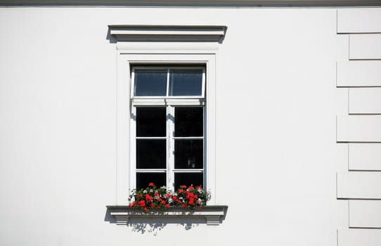 Detail of classical window on white wall with red flowers